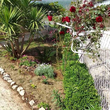 Guesthouse Djurisic Herceg Novi Luaran gambar